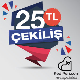 kediperi instagram çekiliş - 25tl